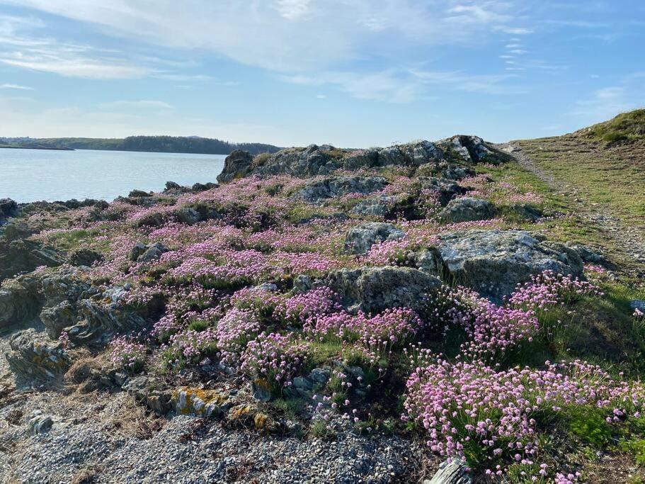 Entire Guest Suite In Four Mile Bridge, Rhoscolyn Valley Esterno foto